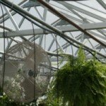 Greenhouse AIr Circulation